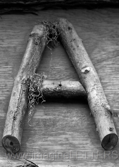 Wall_Art_Alphabet_Photography_Art_ 116.jpg